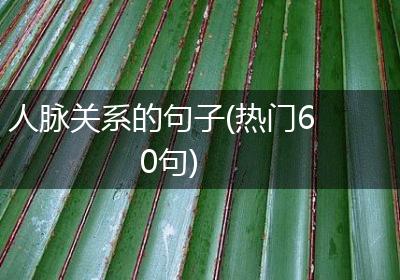 人脉关系的句子(热门60句)