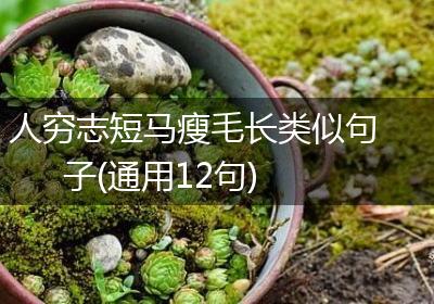 人穷志短马瘦毛长类似句子(通用12句)