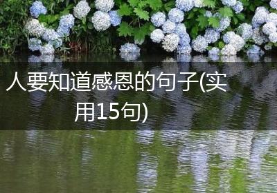 人要知道感恩的句子(实用15句)