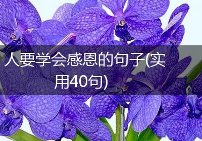 人要学会感恩的句子(实用40句)