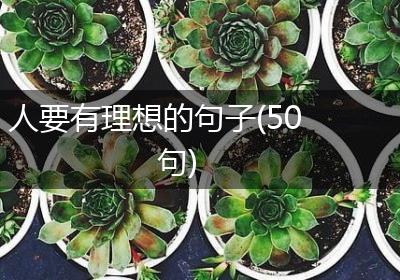 人要有理想的句子(50句)