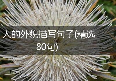 人的外貌描写句子(精选80句)