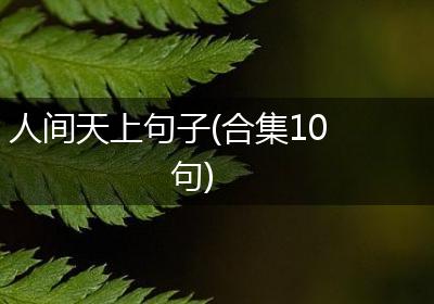人间天上句子(合集10句)