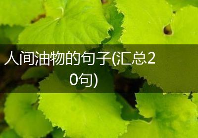 人间油物的句子(汇总20句)