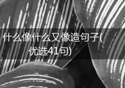 什么像什么又像造句子(优选41句)