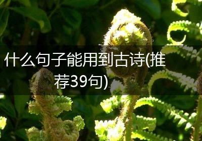 什么句子能用到古诗(推荐39句)