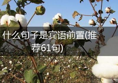 什么句子是宾语前置(推荐61句)