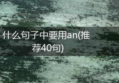什么句子中要用an(推荐40句)