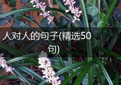 人对人的句子(精选50句)