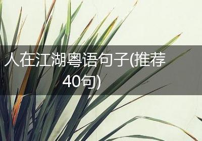 人在江湖粤语句子(推荐40句)