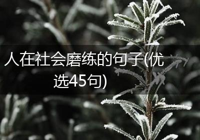 人在社会磨练的句子(优选45句)