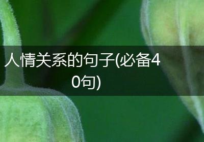 人情关系的句子(必备40句)