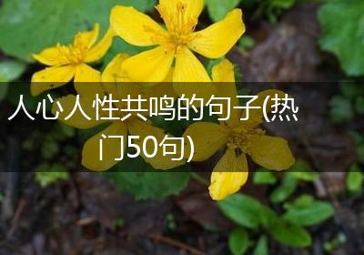 人心人性共鸣的句子(热门50句)