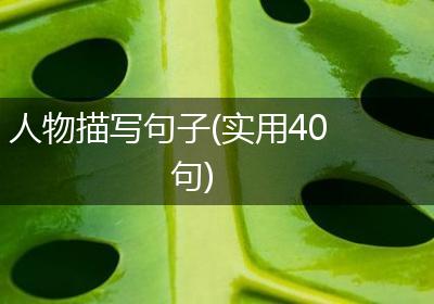 人物描写句子(实用40句)