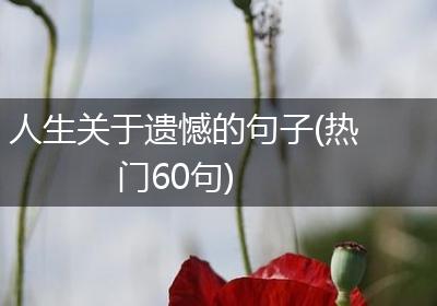 人生关于遗憾的句子(热门60句)