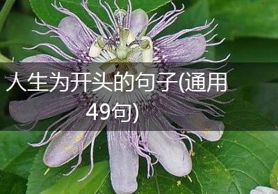 人生为开头的句子(通用49句)