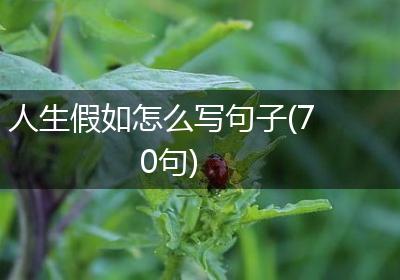 人生假如怎么写句子(70句)