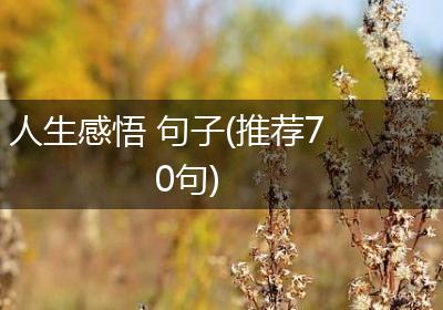 人生感悟 句子(推荐70句)