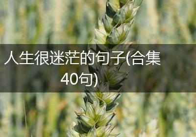 人生很迷茫的句子(合集40句)
