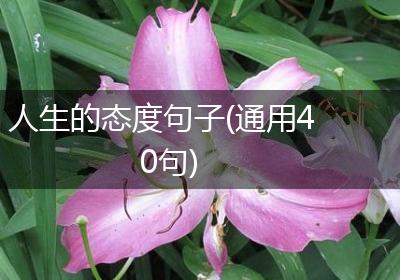 人生的态度句子(通用40句)