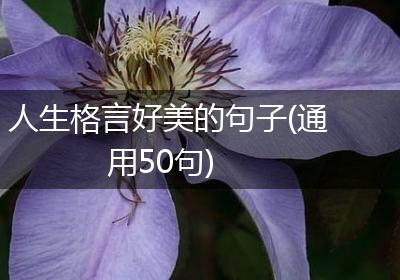 人生格言好美的句子(通用50句)
