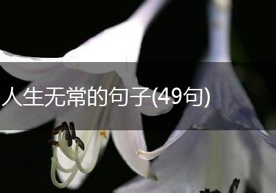 人生无常的句子(49句)