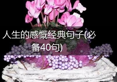 人生的感慨经典句子(必备40句)