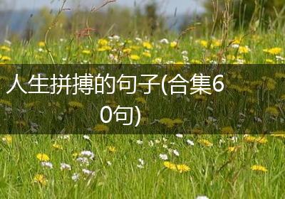 人生拼搏的句子(合集60句)