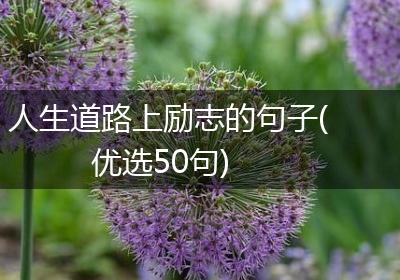 人生道路上励志的句子(优选50句)
