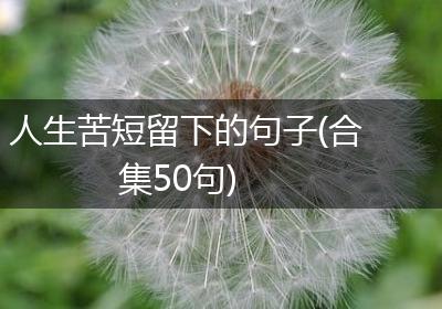 人生苦短留下的句子(合集50句)