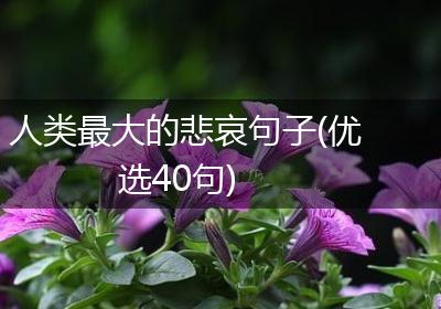 人类最大的悲哀句子(优选40句)