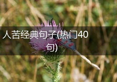 人苦经典句子(热门40句)