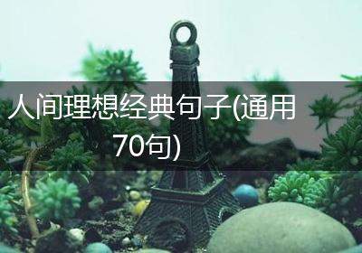 人间理想经典句子(通用70句)