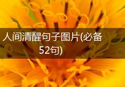 人间清醒句子图片(必备52句)