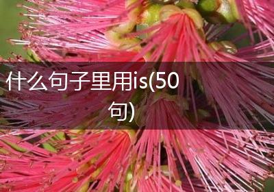 什么句子里用is(50句)