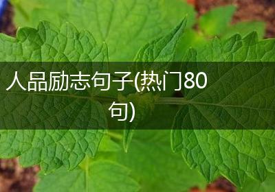 人品励志句子(热门80句)