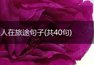 人在旅途句子(共40句)