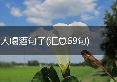 人喝酒句子(汇总69句)