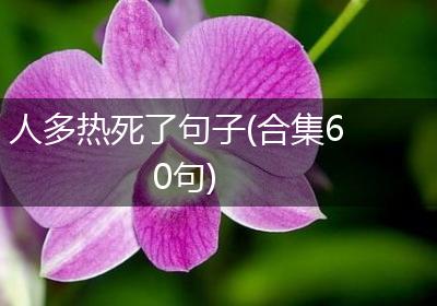 人多热死了句子(合集60句)