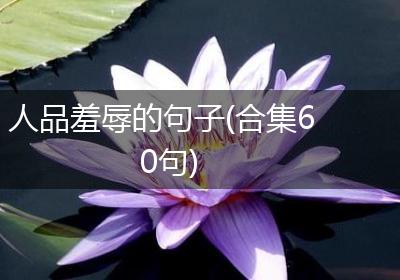 人品羞辱的句子(合集60句)