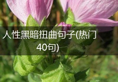 人性黑暗扭曲句子(热门40句)