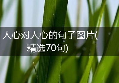 人心对人心的句子图片(精选70句)