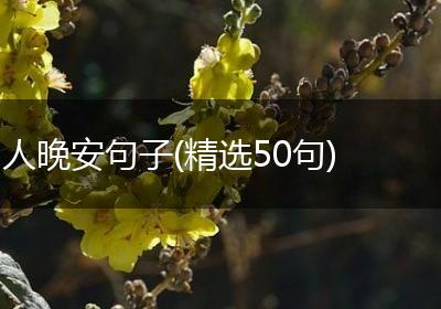 人晚安句子(精选50句)