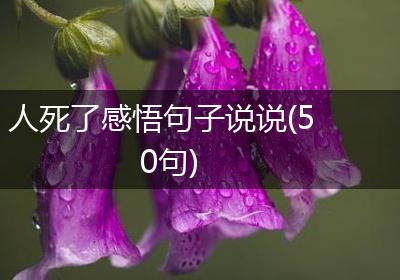 人死了感悟句子说说(50句)