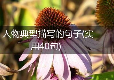 人物典型描写的句子(实用40句)