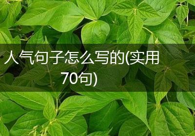 人气句子怎么写的(实用70句)