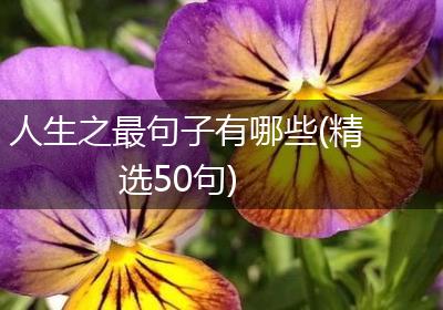 人生之最句子有哪些(精选50句)