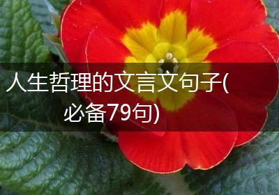 人生哲理的文言文句子(必备79句)