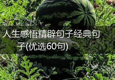 人生感悟精辟句子经典句子(优选60句)