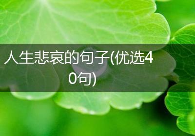 人生悲哀的句子(优选40句)